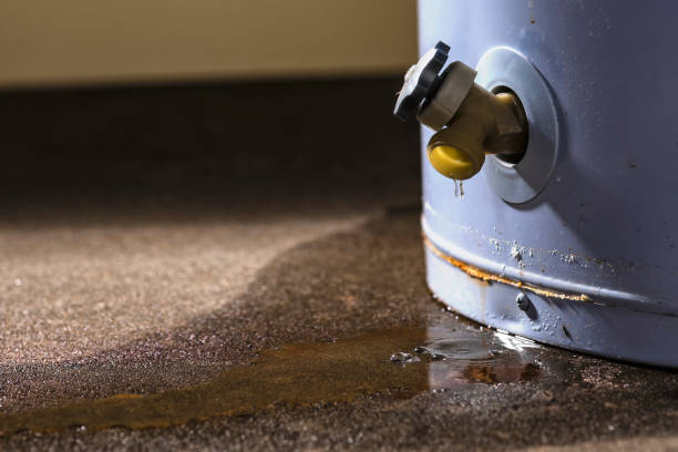 Best Water damage restoration specialists  in Collegedale, TN