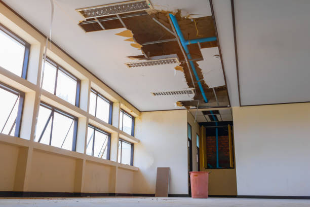 Best Water damage restoration near me  in Collegedale, TN