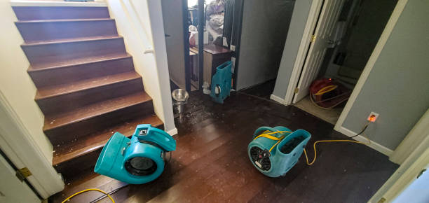 Water damage restoration insurance claims in Collegedale, TN