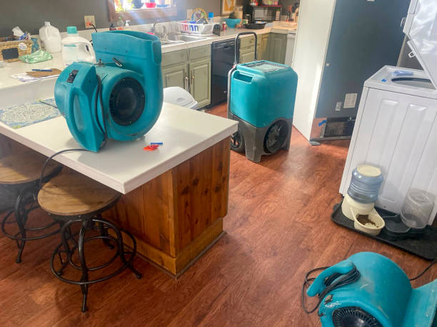 Best Sewage cleanup and water damage restoration  in Collegedale, TN