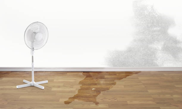 Collegedale, TN Water damage restoration Company