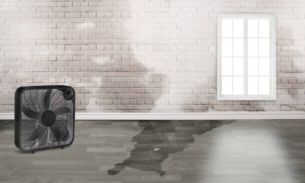Best Water damage restoration near me  in Collegedale, TN