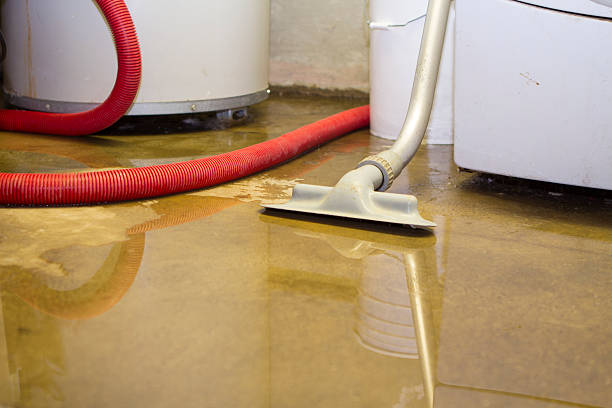 Best 24-hour water damage restoration  in Collegedale, TN