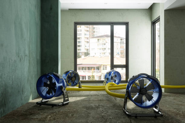 Water damage restoration mold remediation in Collegedale, TN