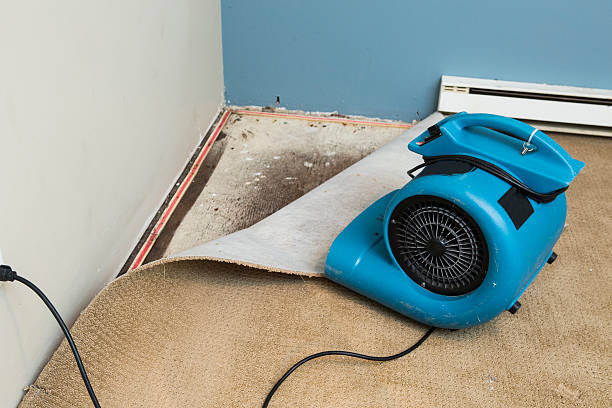 Best Water damage restoration near me  in Collegedale, TN