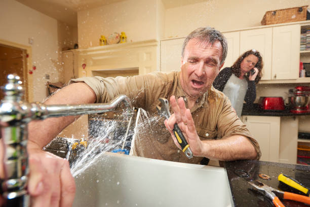 Best Flood damage cleanup  in Collegedale, TN
